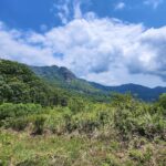 Ooty Honeymoon Packages 7 Days Price