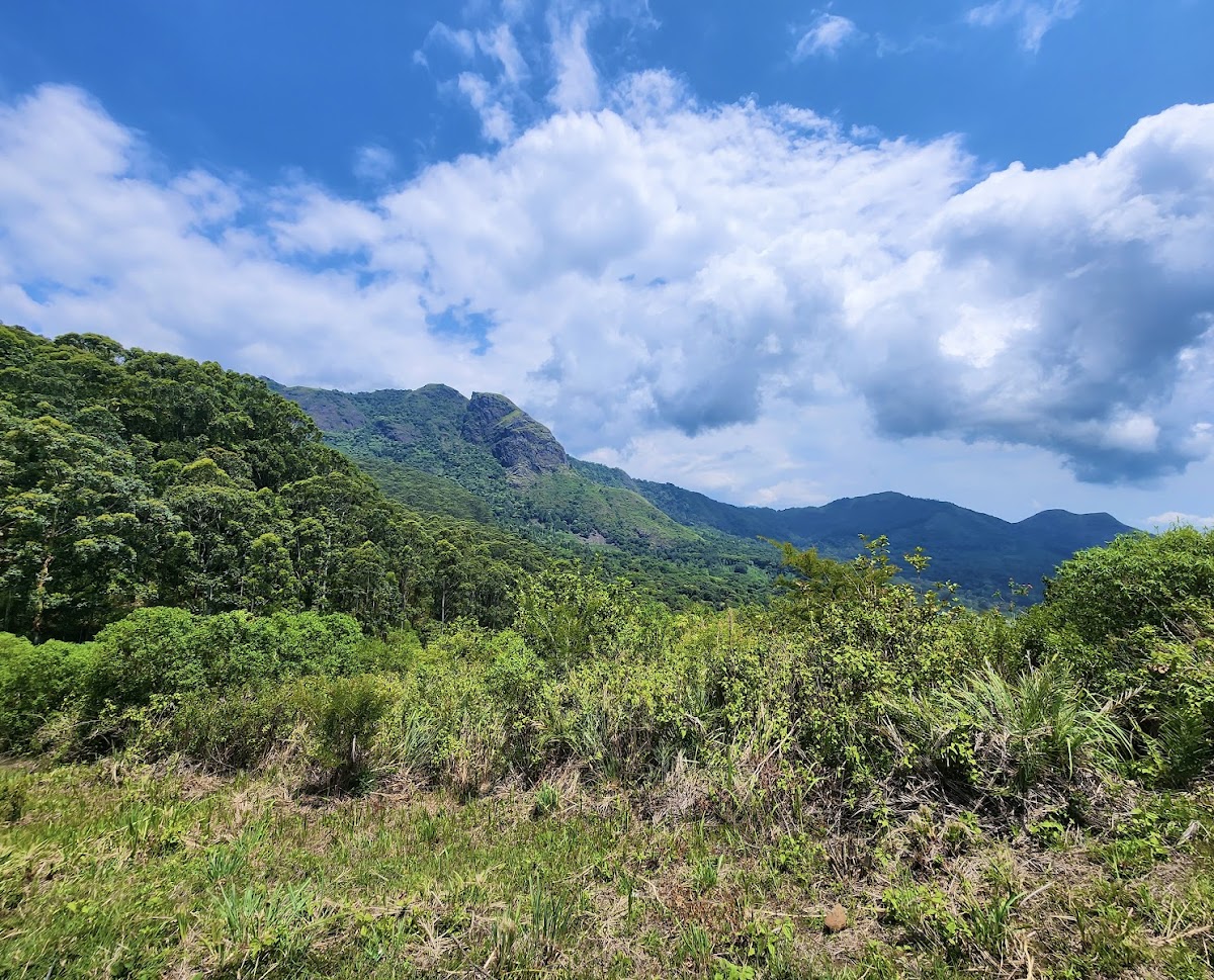 Ooty Honeymoon Packages 7 Days Price
