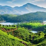 Place To Visit Kerala