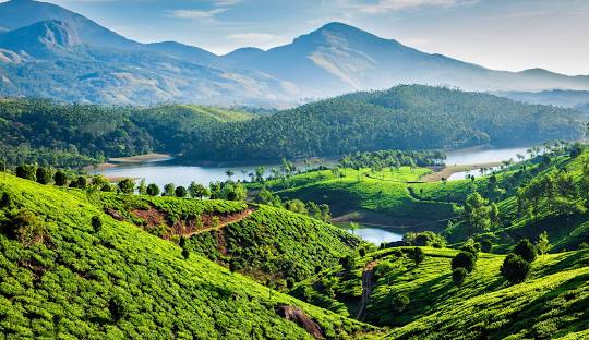 Place To Visit Kerala