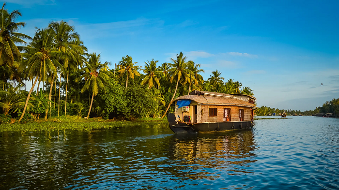 Ooty Honeymoon Packages 7 Days Price